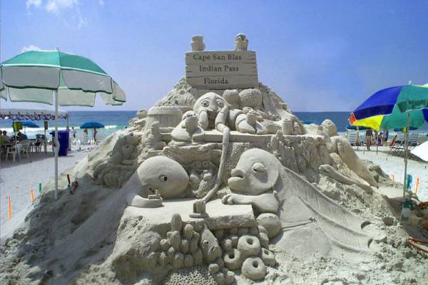 Beach Activities on Cape San Blas Beach Activities on Cape San Blas