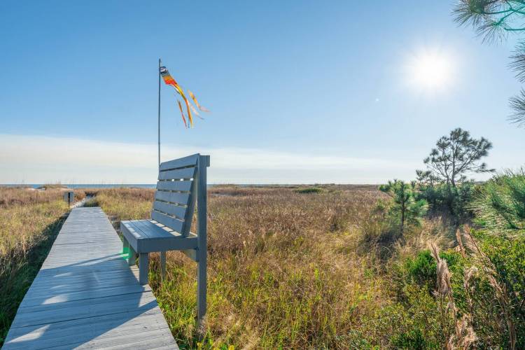 Cape San Blas sea oats