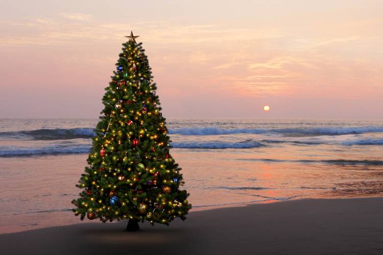 Cape San Blas during the holidays