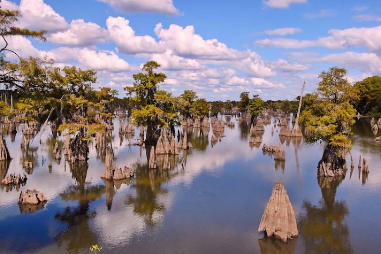 Dead Lakes South Arm 