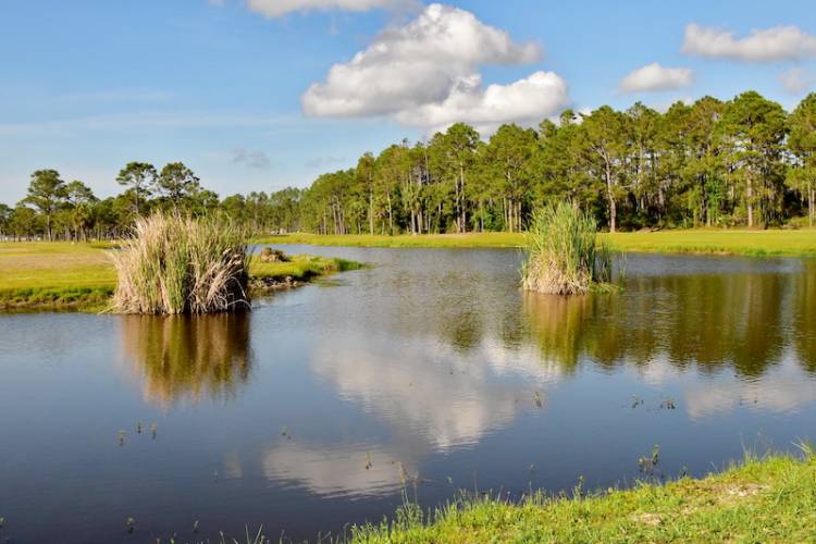 St Joe Bay Golf Club hole 7