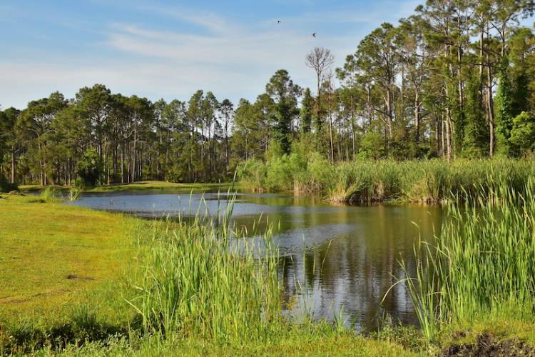 St Joe Bay Golf Club hole 14