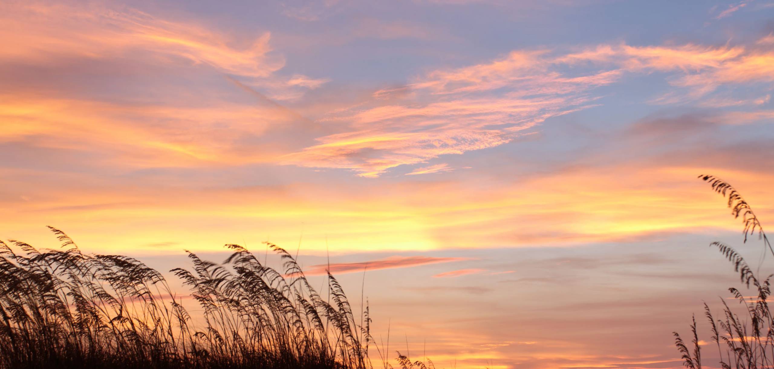 Cape San Blas pink sunset Cape San Blas pink sunset