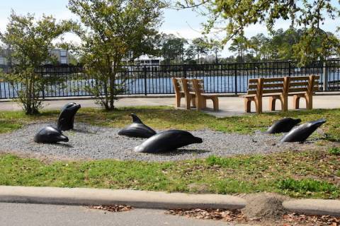 Dolphin Park Carrabelle