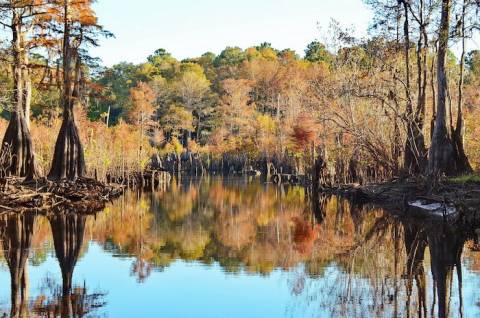 Dead Lakes Park Boat Ramp