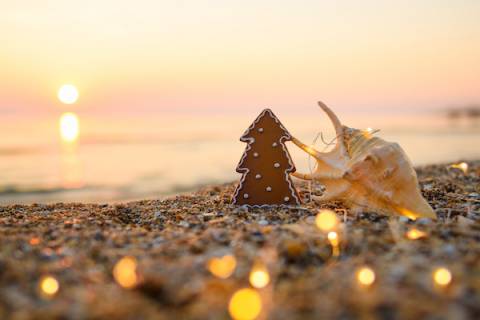 Cape San Blas Holiday Events