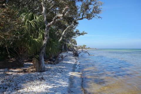 Inlet on Hammock Trail